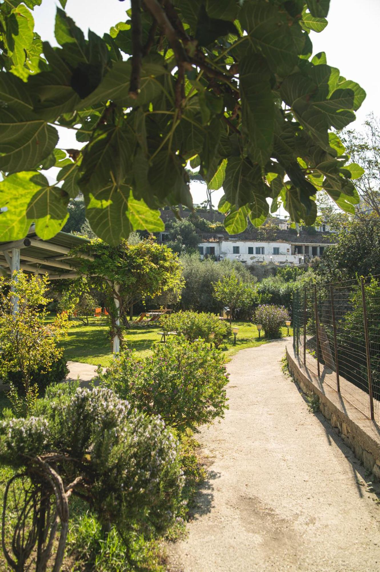 Hotel Park Victoria Forio di Ischia Exterior foto